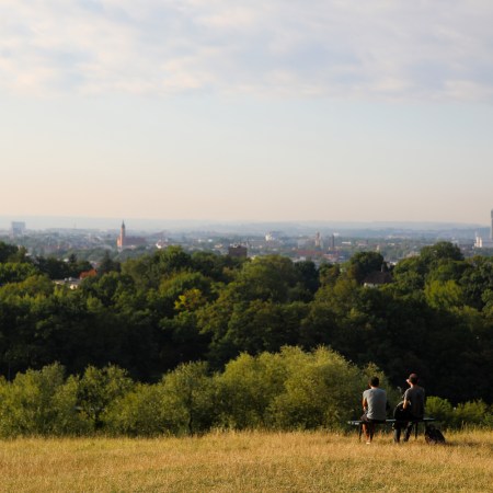 Two men sitting on a hill overlooking a forest view.